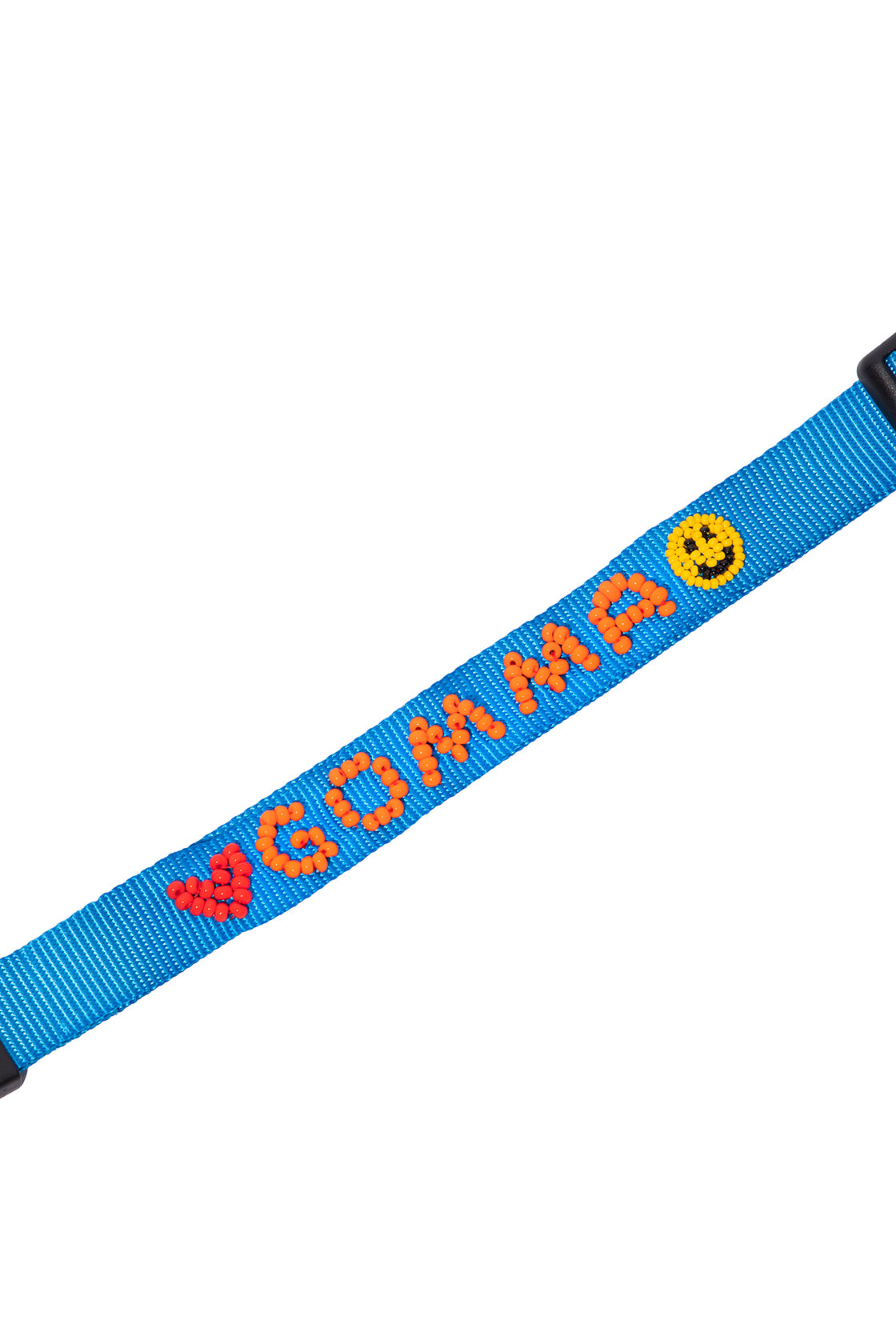 India Customised Collar Pet