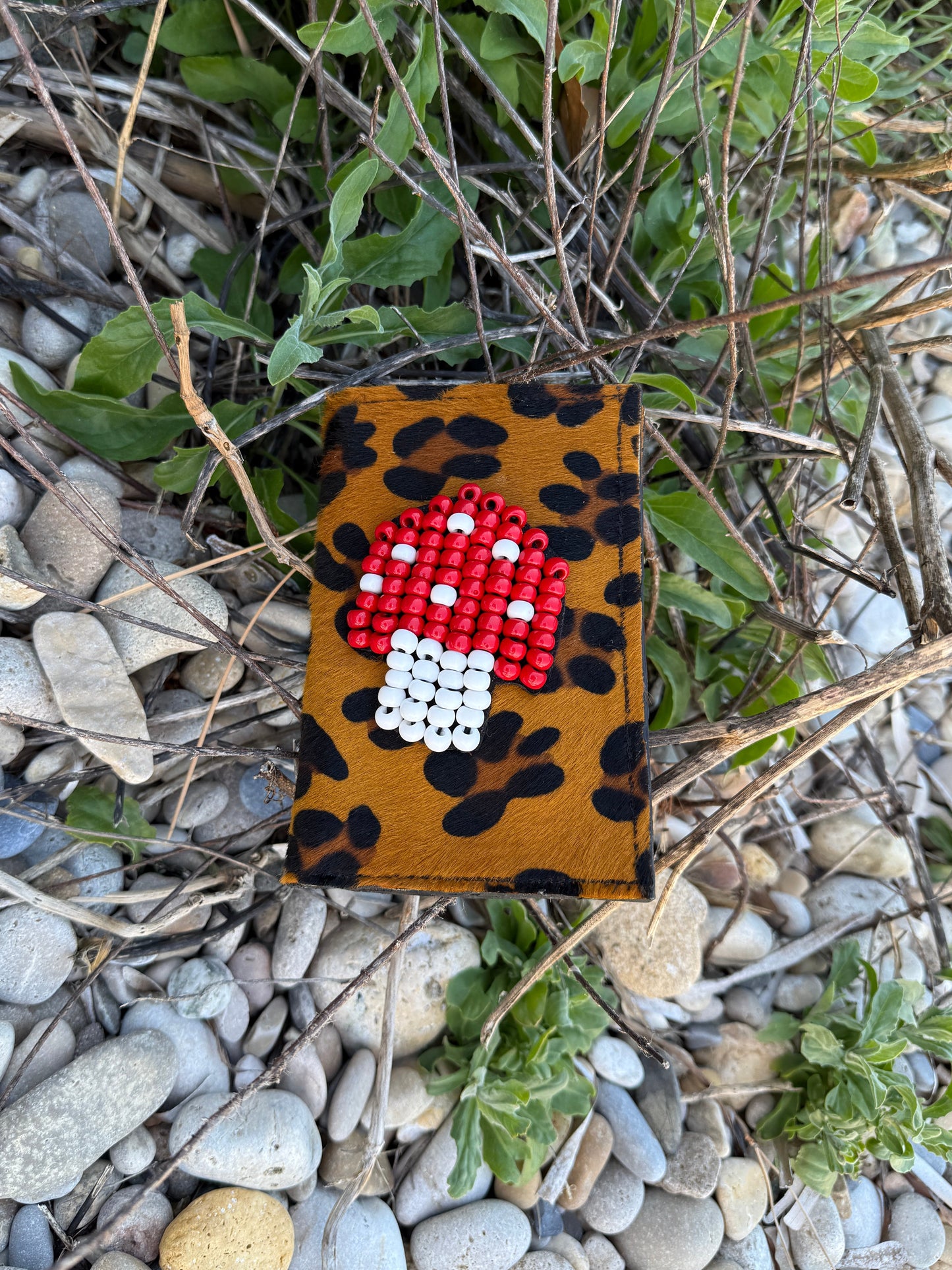 Pluto Mushroom Leopard Wallet